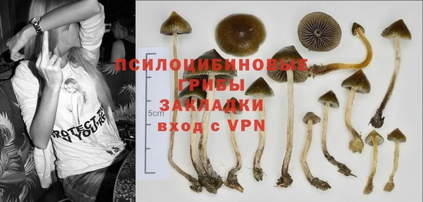 дживик Приозерск