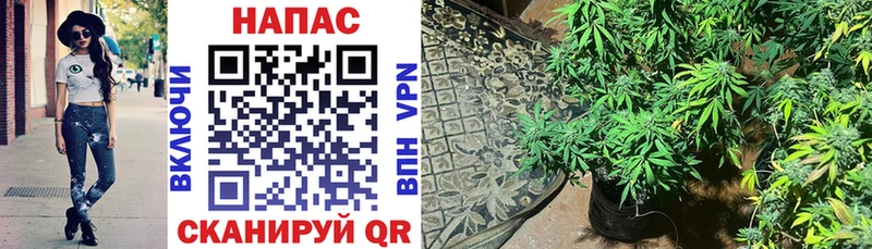 продажа наркотиков  KRAKEN tor  Бошки Шишки SATIVA & INDICA  Белоярский 